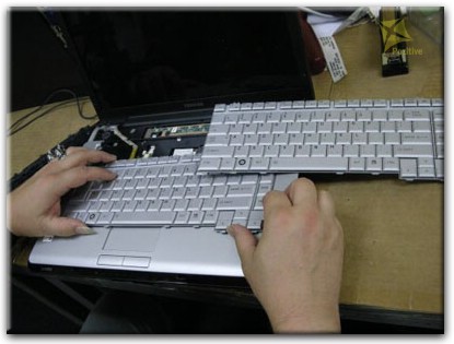 Ремонт клавиатуры на ноутбуке Toshiba в Мурманске